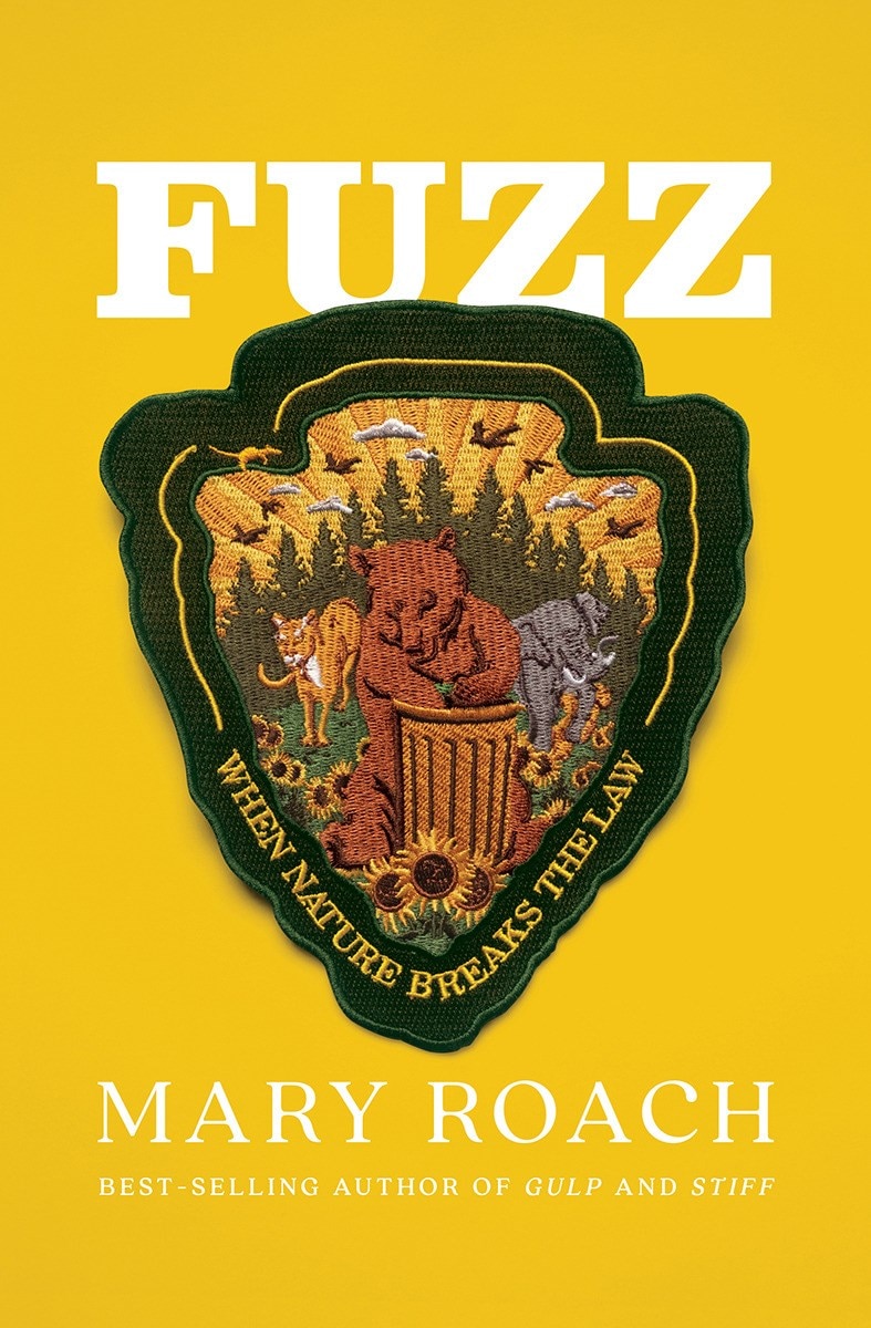 Fuzz: When Nature Breaks the Law