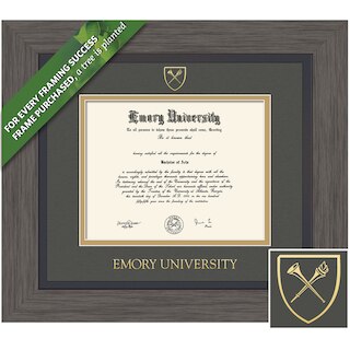 Framing Success 14 x 17 Greystone Gold Embossed School Seal Bachelors, Masters Diploma Frame