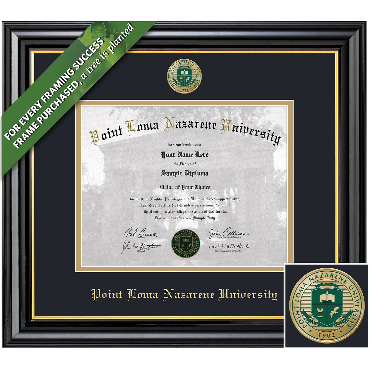 Framing Success 8.5 x 11 Coronado Color Enamel Custom mntd Medallion of School Seal Bachelors Diploma Frame