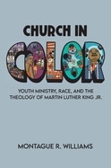 Church in Color: Youth Ministry  Race  and the Theology of Martin Luther King Jr.
