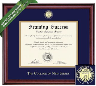 Framing Success 8.5 x 11 Classic Gold Embossed School Seal Bachelors, Masters Diploma Frame