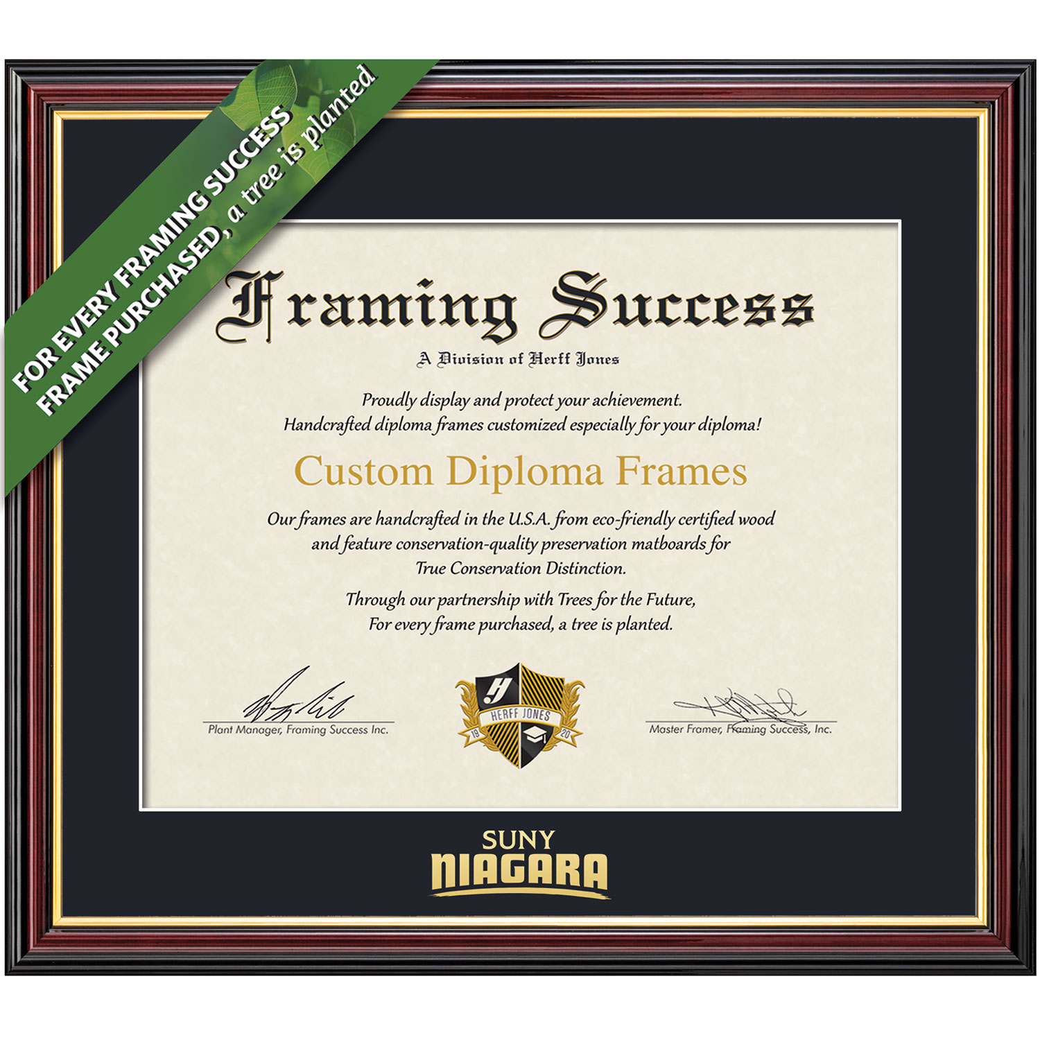 Framing Success 8 x 10 Academic Gold Embossed School Name Associates Diploma Frame