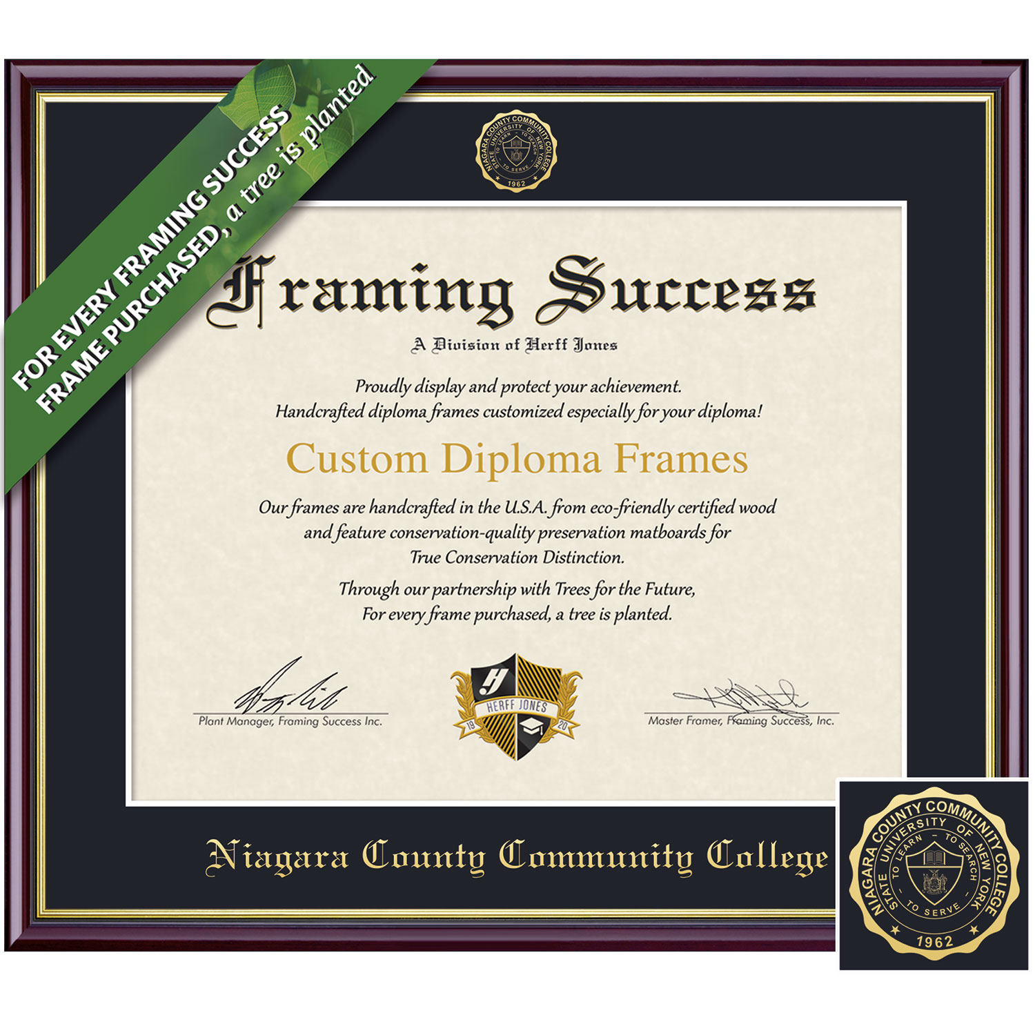 Framing Success 8 x 10 Academic Gold Embossed School Seal Associates Diploma Frame