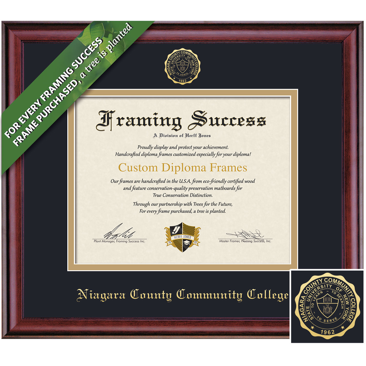 Framing Success 8 x 10 Classic Gold Embossed School Seal Associates Diploma Frame