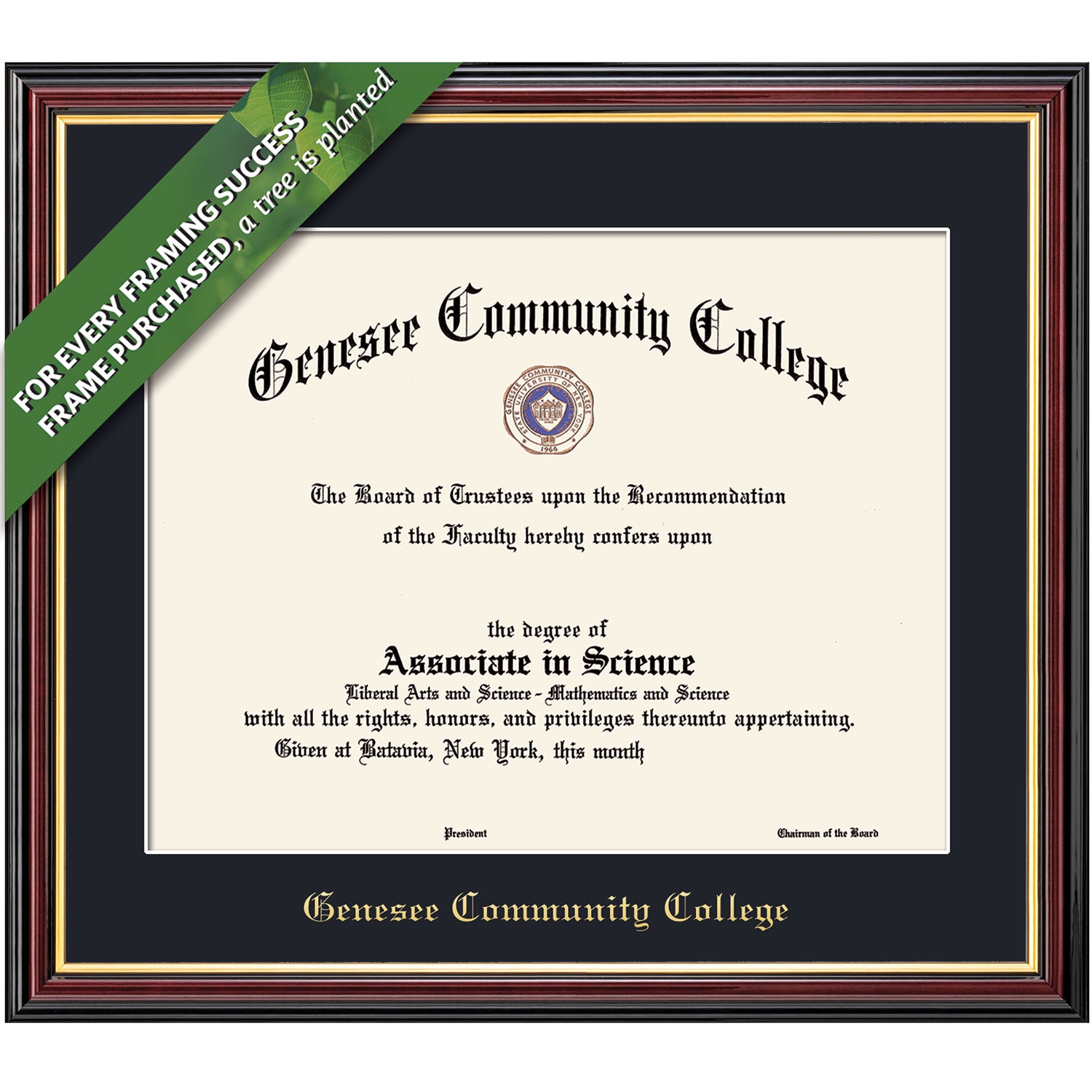 Framing Success 7 x 9 Academic Gold Embossed School Seal Associates Diploma Frame