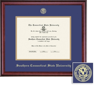 Framing Success 11 x 14 Classic Gold Embossed School Seal Ph.D Diploma Frame