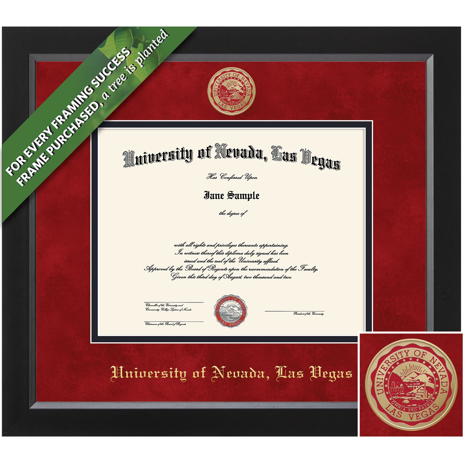 Framing Success 8.5 x 11 Spirit Colored Medallion Bachelors, Masters Diploma Frame