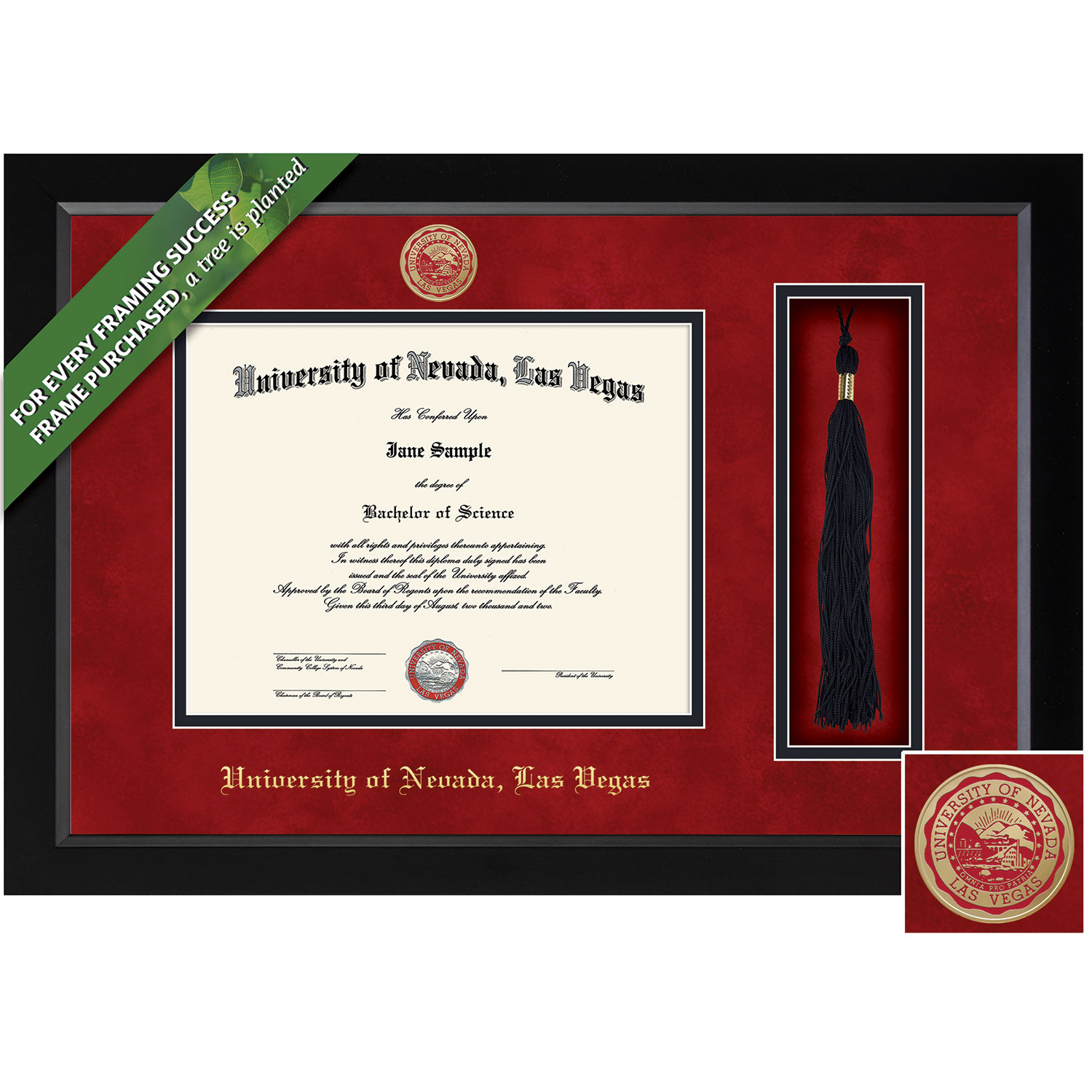 Framing Success 8.5 x 11 Spirit Colored Medallion Bachelors, Masters Diploma/Tassel Frame