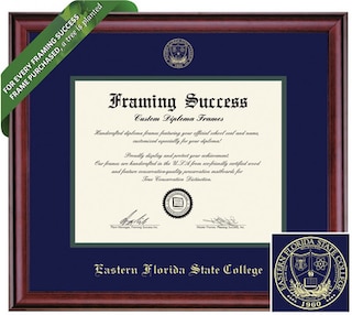 Framing Success 8.5 x 11 Classic Gold Embossed School Seal Bachelors Diploma Frame