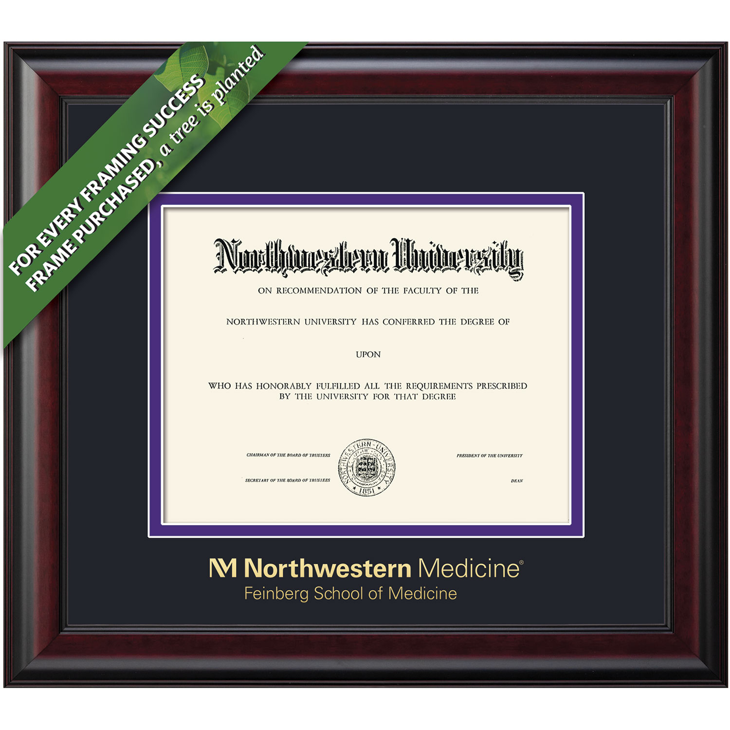 Framing Success 11 x 14 Classic Gold Embossed School Seal MD Diploma Frame