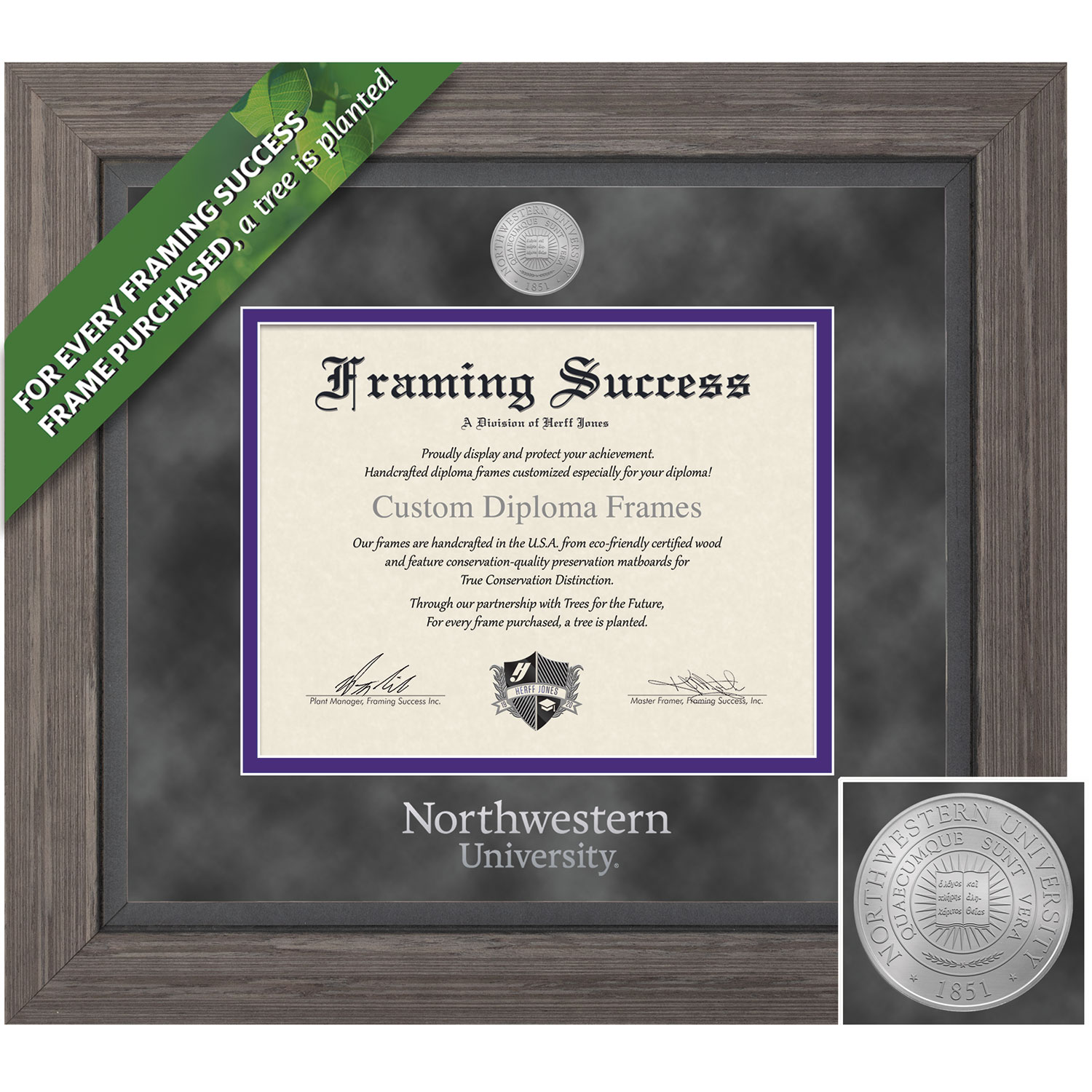 Framing Success 8.5 x 11 Millennium Gold Medallion Bachelors, Masters Diploma Frame