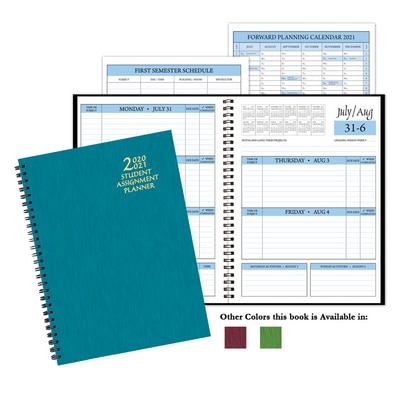 Payne 20-21 Weekly Appointment Planner 9"x7"