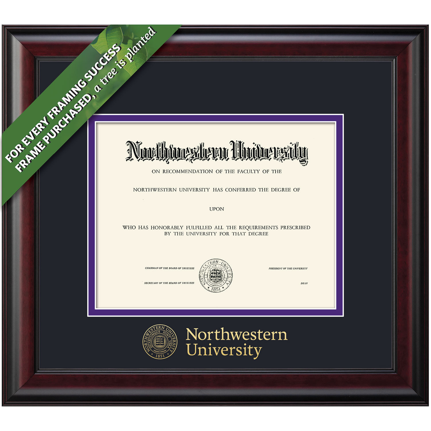 Framing Success 8.5 x 11 Classic Embossed School Name Bachelors, Masters Diploma Frame