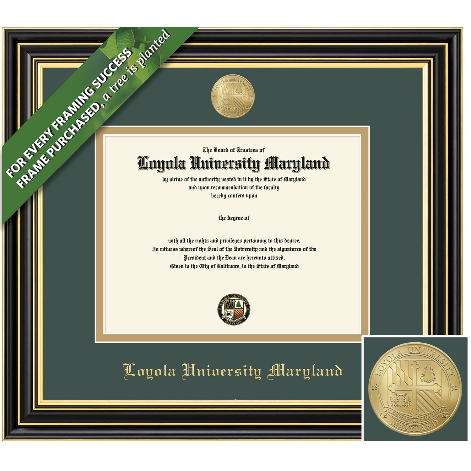 Framing Success 11 x 14 Prestige Gold Medallion Bachelors, Masters Diploma Frame