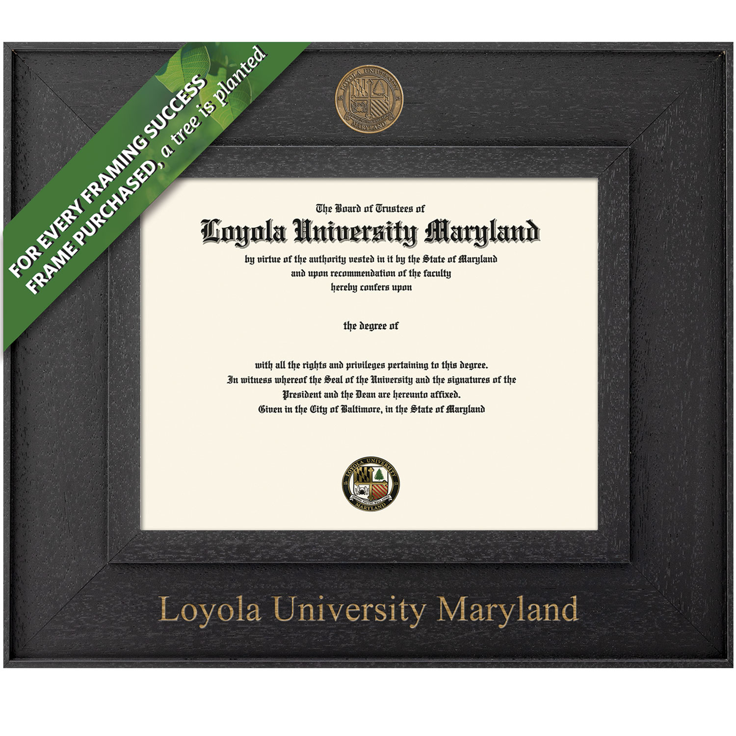 Framing Success 11 x 14 Cavalier Antiqued Medallion Bachelors, Masters Diploma Frame