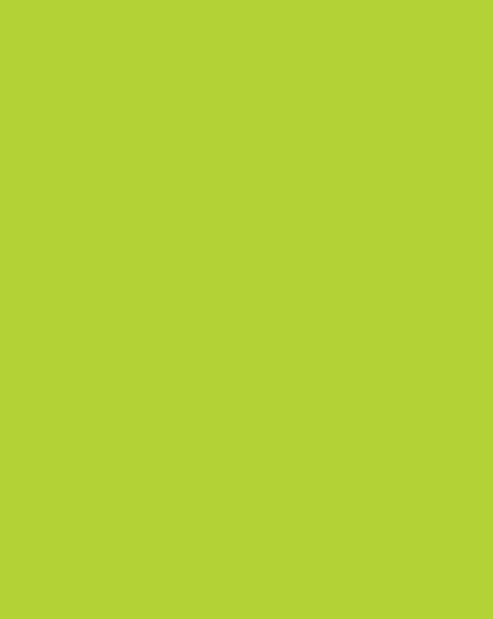 Poster Board Neon Green