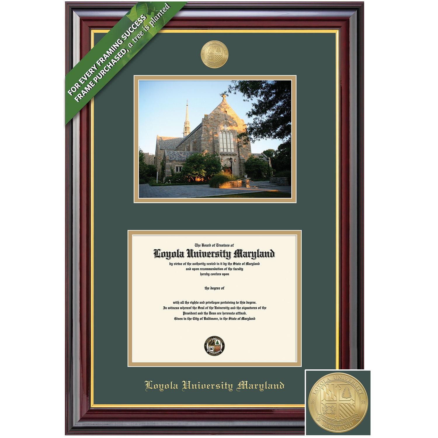Framing Success 11 x 14 Windsor Gold Medallion Bachelors, Masters Diploma/Photo Frame