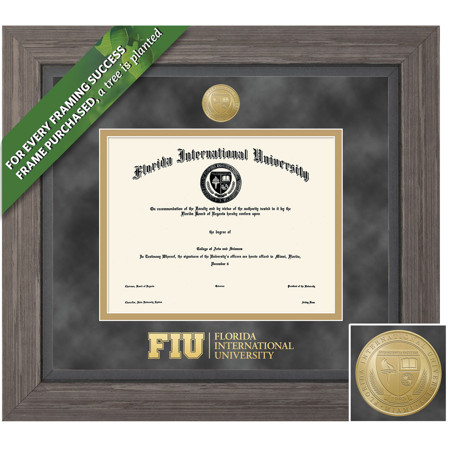 Framing Success 11 x 14 Greystone Gold Medallion Masters, Doctorate Diploma Frame