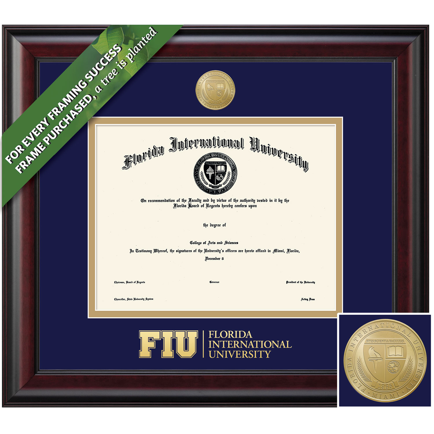 Framing Success 11 x 14 Classic Gold Medallion Masters Diploma Frame