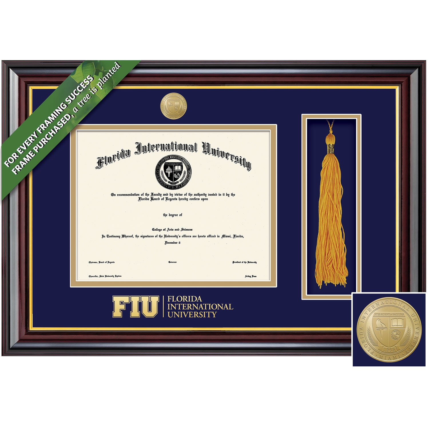 Framing Success Windsor Gold Medallion Masters Doctorate Diploma/Tassel Frame