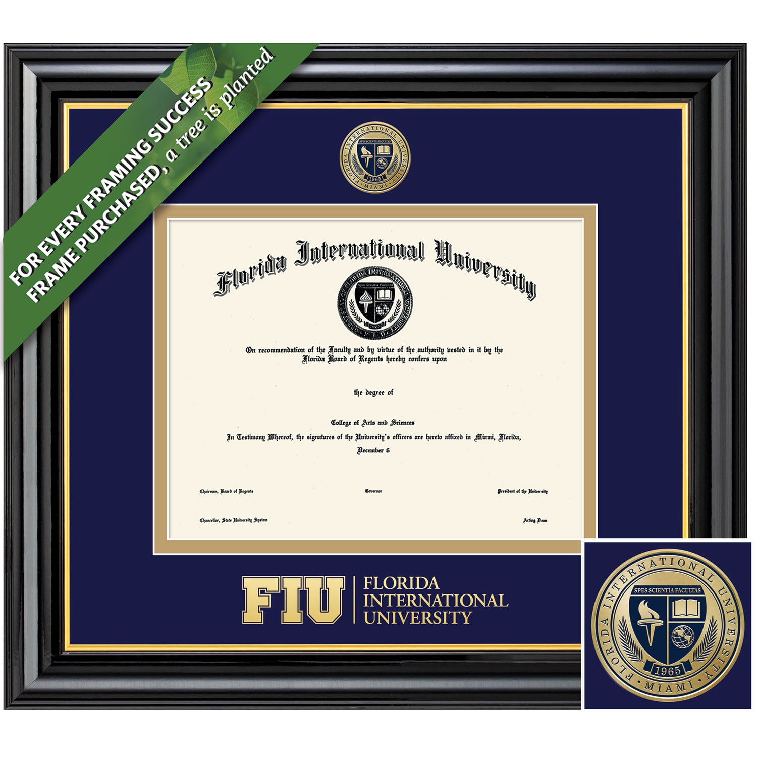 Framing Success 8.5 x 11 Coronado Colored Medallion Bachelors Diploma Frame