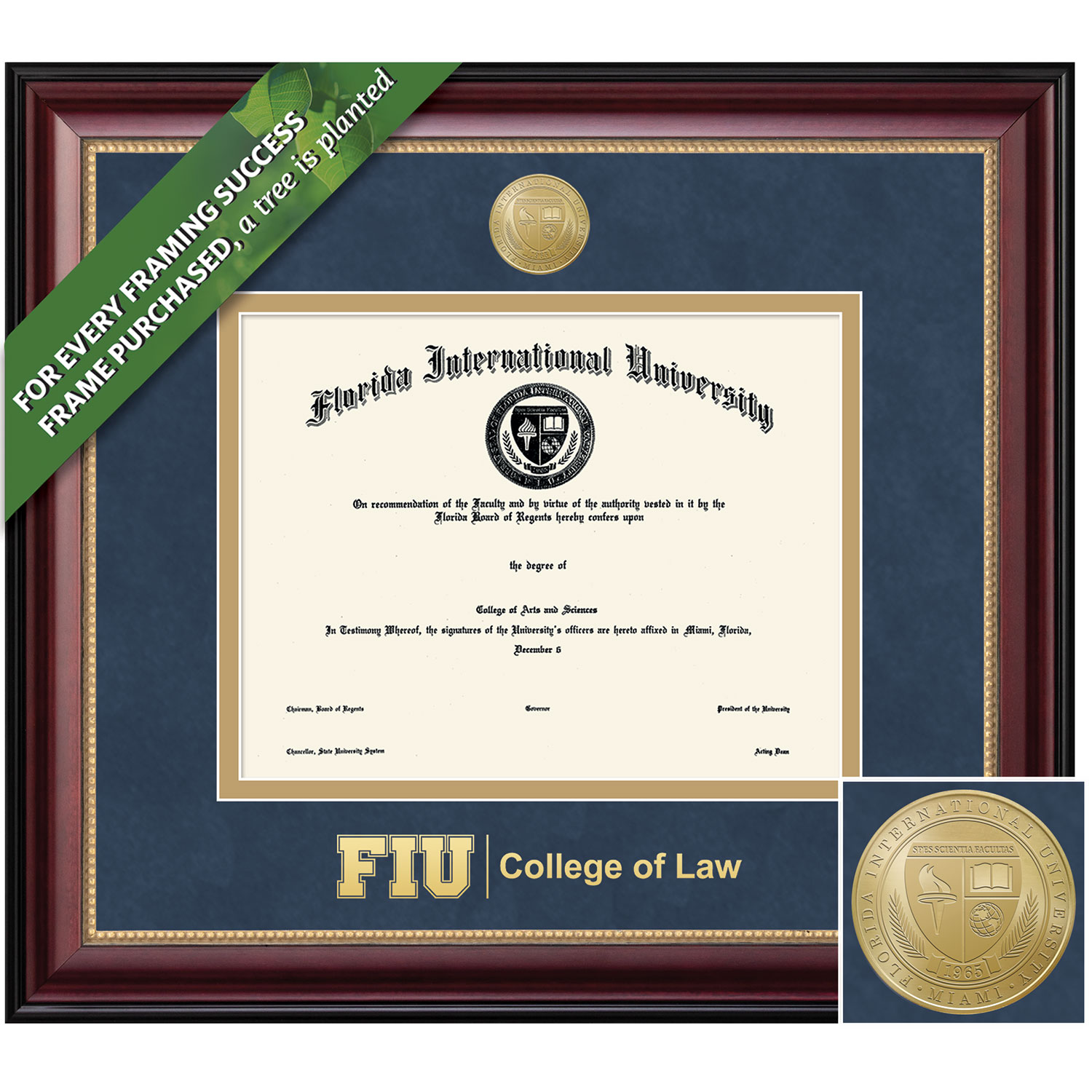 Framing Success 11 x 14 Gold Medallion School Of Law Diploma Frame