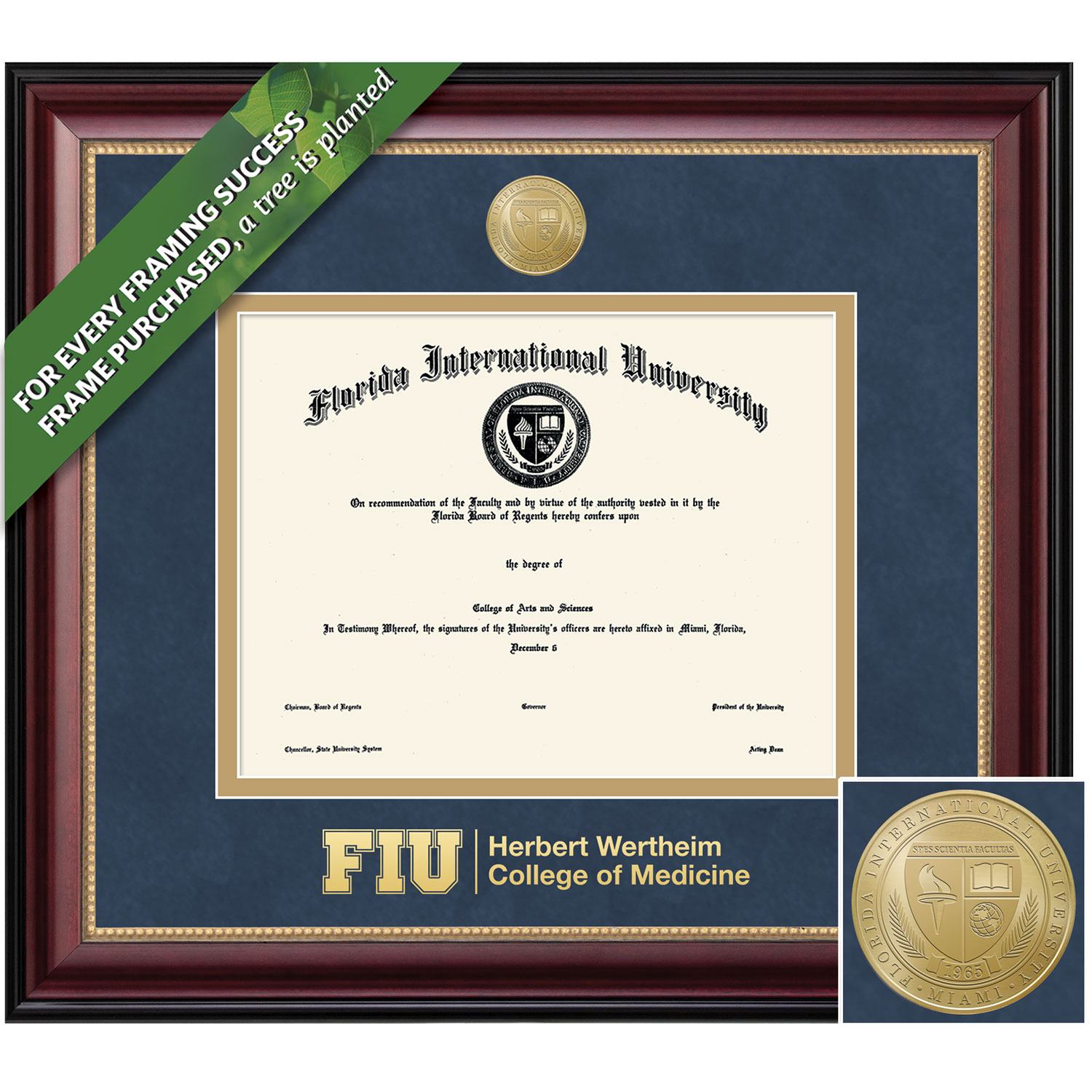 Framing Success 14.375 x 17.5 Gold Medallion School Of Medicine Diploma Frame