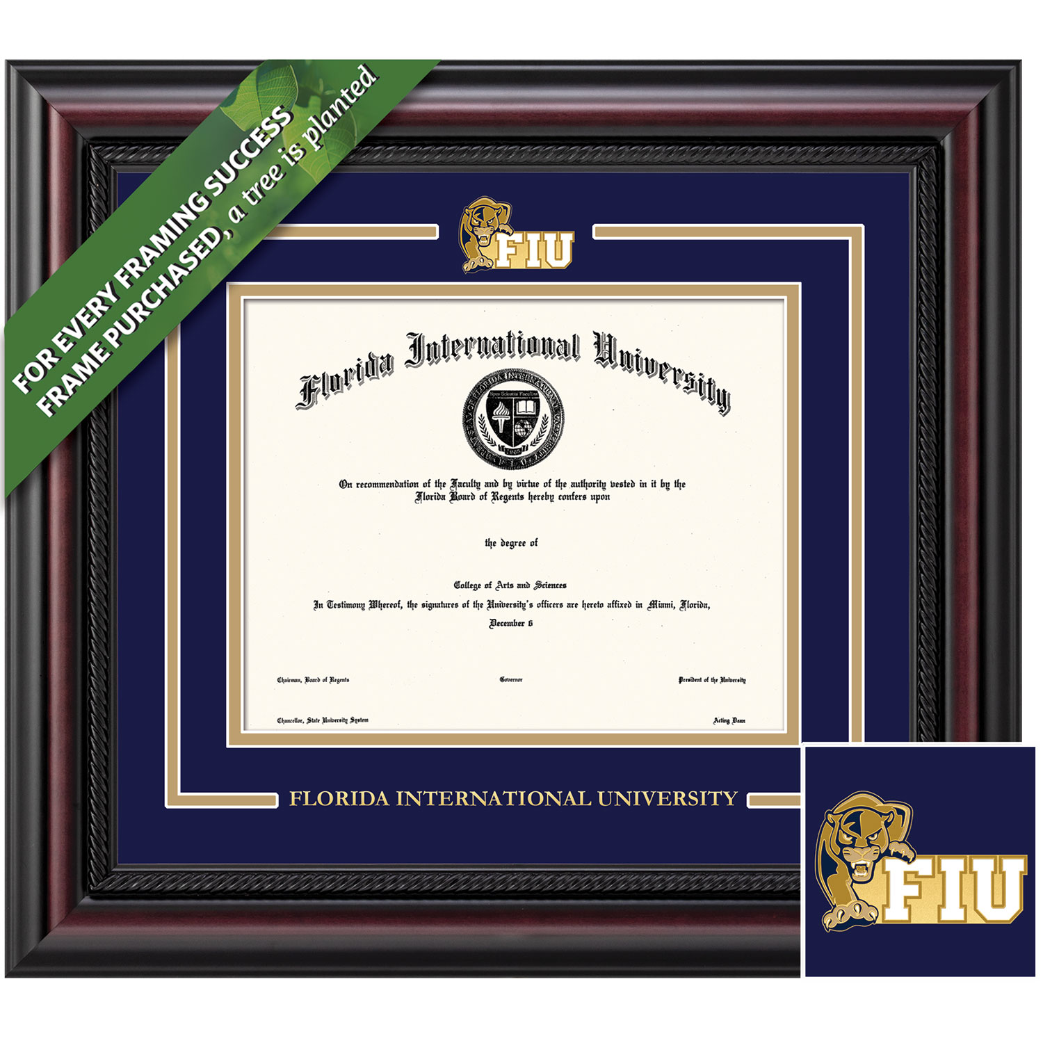 Framing Success 8.5 x 11 Legacy Color Enamel Custom mntd Medallion of School Seal Bachelors Diploma Frame