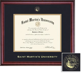 Framing Success 8.5 x 11 Classic Gold Embossed School Seal Bachelors, Masters Diploma Frame