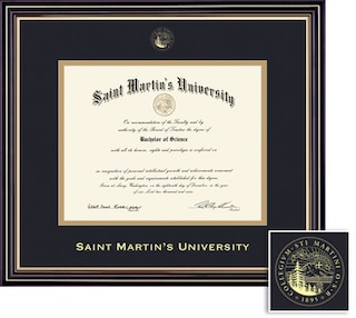 Framing Success 8.5 x 11 Prestige Gold Embossed School Seal Bachelors, Masters Diploma Frame