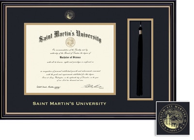 Framing Success 8.5 x 11 Prestige Gold Embossed School Seal Bachelors, Masters Diploma/Tassel Frame