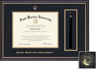 Framing Success 8.5 x 11 Prestige Gold Embossed School Seal Bachelors, Masters Diploma/Tassel Frame