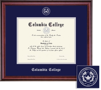 Framing Success 8.5 x 11 Classic Silver Embossed School Seal Bachelors, Masters Diploma Frame