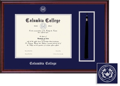 Framing Success 8.5 x 11 Classic Silver Embossed School Seal Bachelors, Masters Diploma/Tassel Frame
