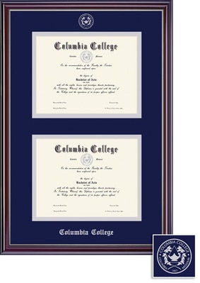 Framing Success 8.5 x 11 Jefferson Silver Embossed School Seal Bachelors, Masters Double Diploma Frame