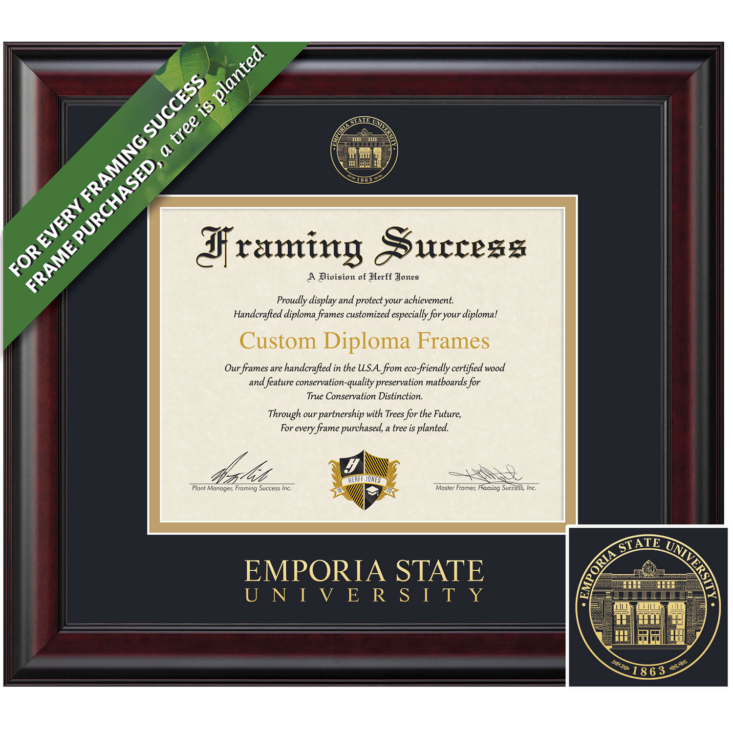 Framing Success 8.5 x 11 Classic Gold Embossed School Seal Bachelors Masters Doctorate Diploma Frame