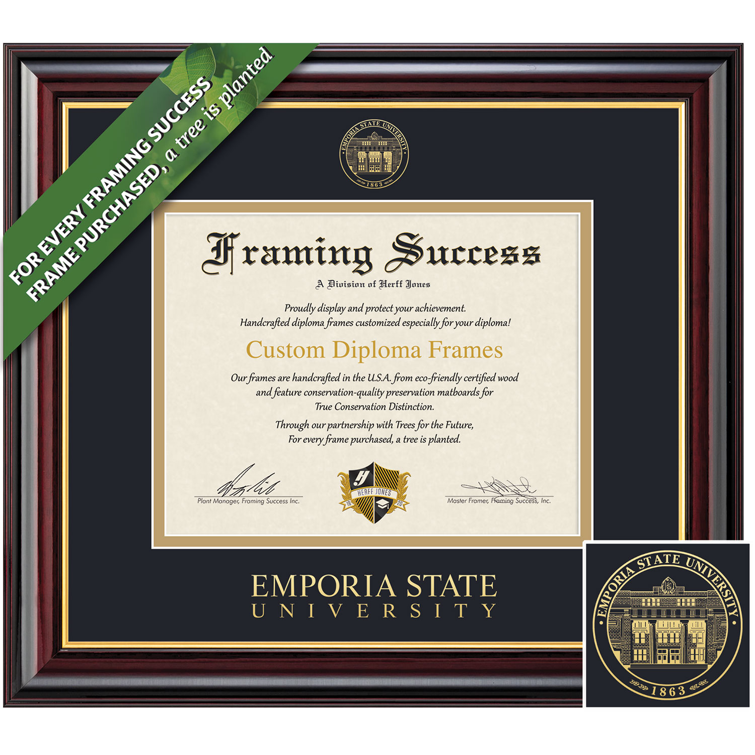 Framing Success 8.5 x 11 Windsor Gold Embossed School Seal Bachelors Masters Doctorate Diploma Frame