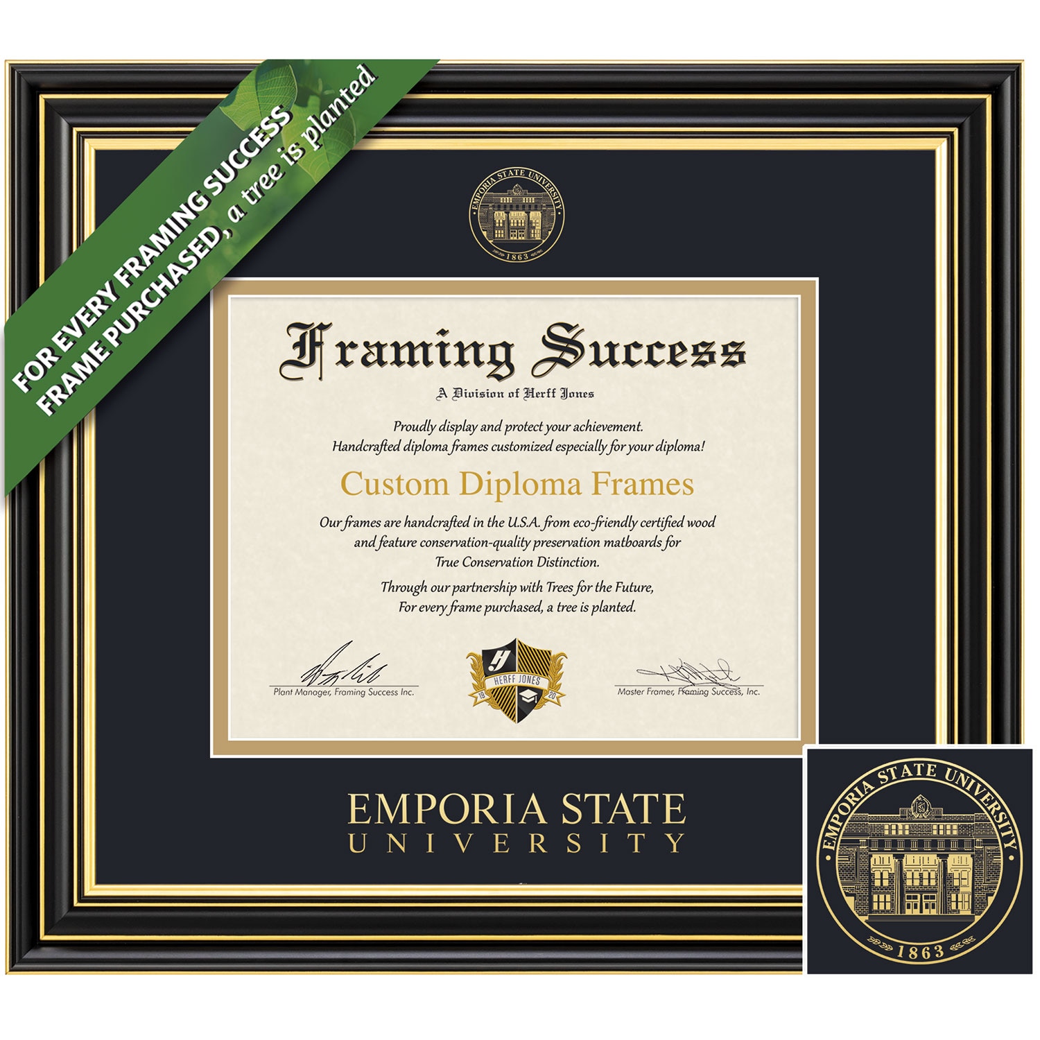 Framing Success 8.5 x 11 Prestige Gold Embossed School Seal Bachelors Masters Doctorate Diploma Frame