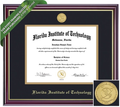 Framing Success 11 x 14 Windsor Gold Medallion Ph.D Diploma Frame