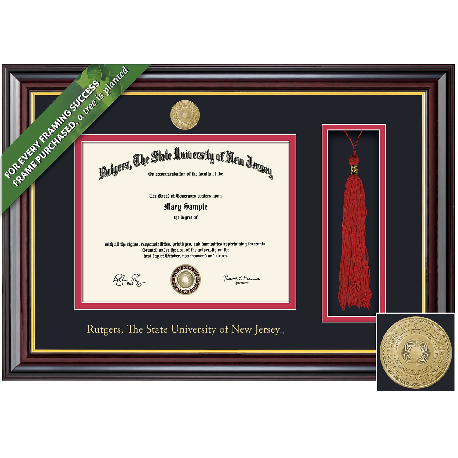 Framing Success 8.5 x 11 Windsor Gold Medallion Bachelors Diploma/Tassel Frame