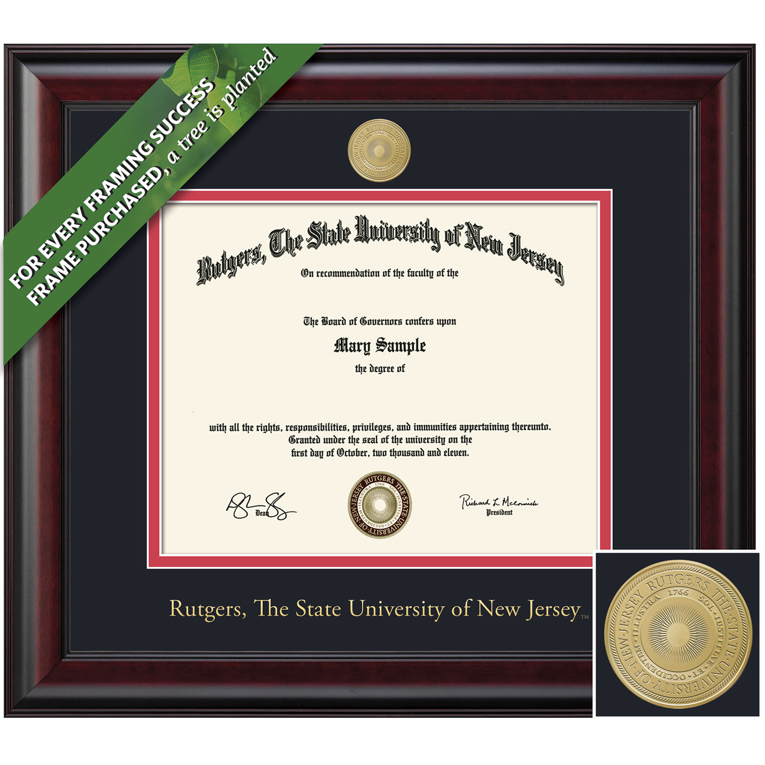 Framing Success 11 x 14 Classic Gold Medallion Upgrade Bachelors, Masters Diploma Frame