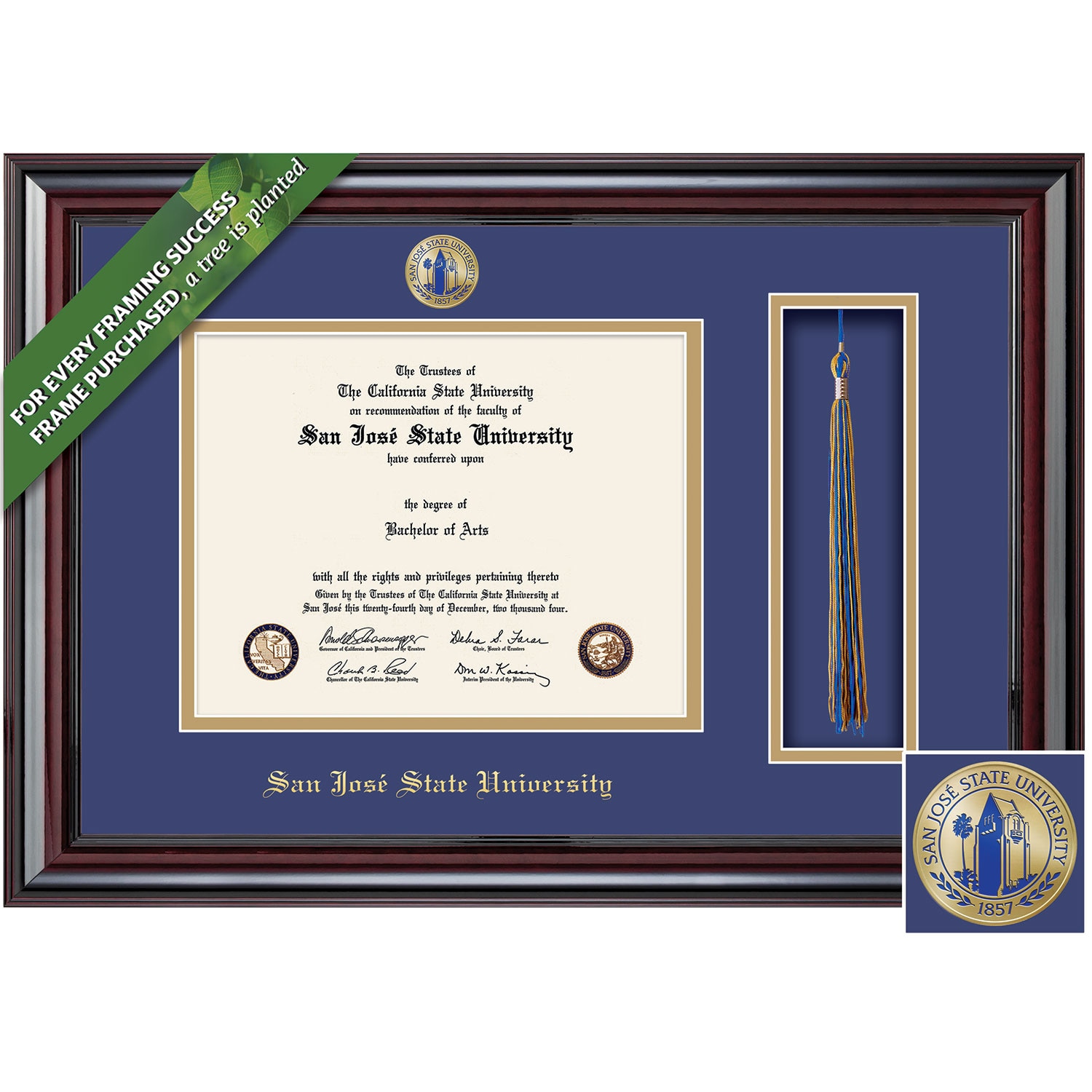 Framing Success 8.5 x 11 Elite Color Enamel Custom Minted Medallion of School Seal Bachelors, Masters Diploma/Tassel Frame
