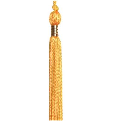 Department Tassel -Gold- College of Science