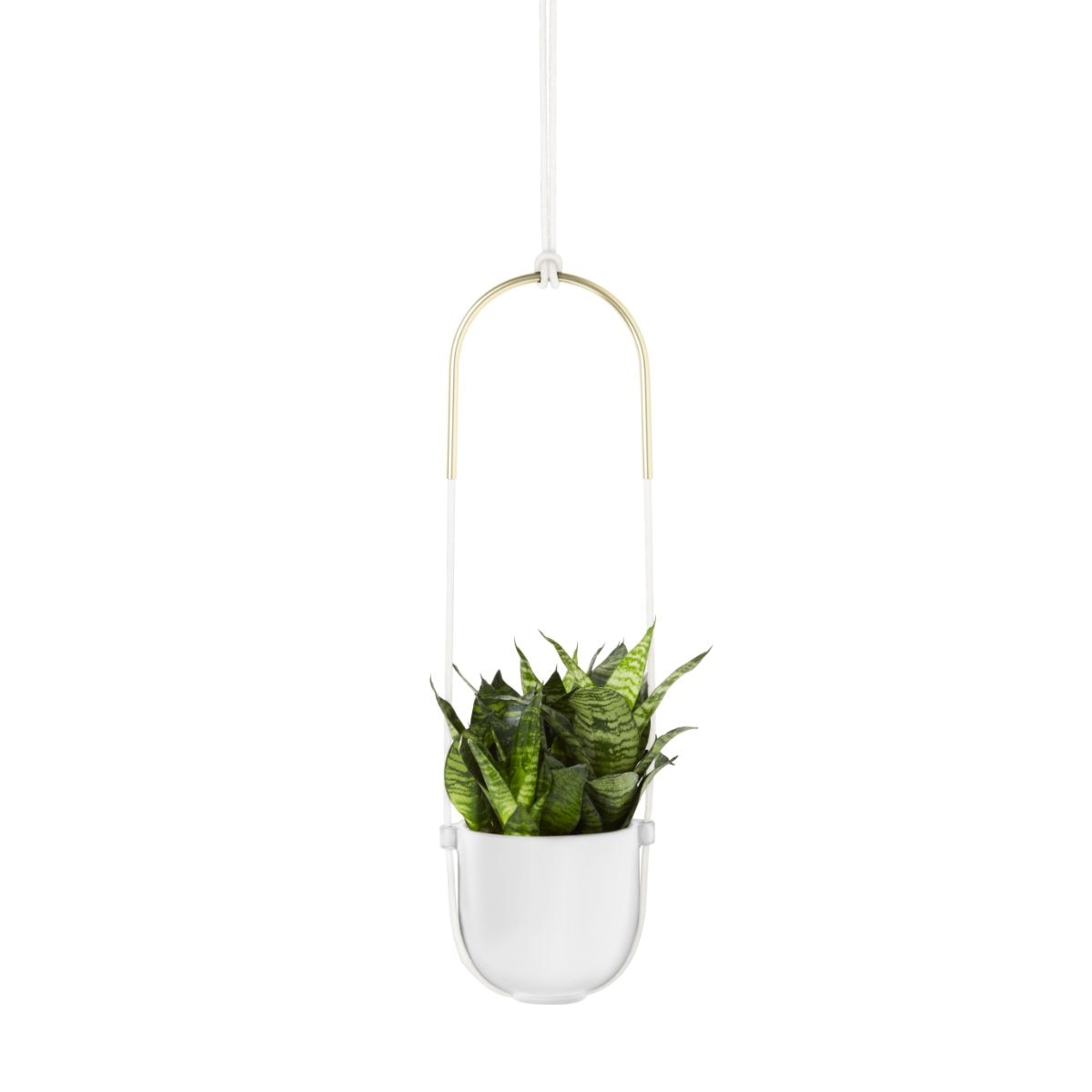 Bolo Planter-White