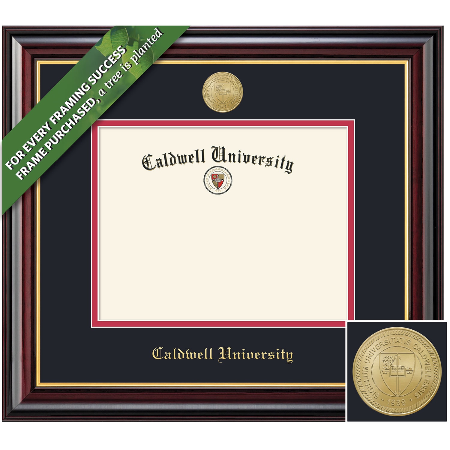 Framing Success 8 x 10 Windsor Gold Medallion Bachelors Diploma Frame