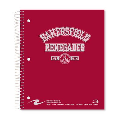 3 sub imprinted notebook.  11x9 college ruled 120 sheets. Saranac cover foil stamped. 1 pocket