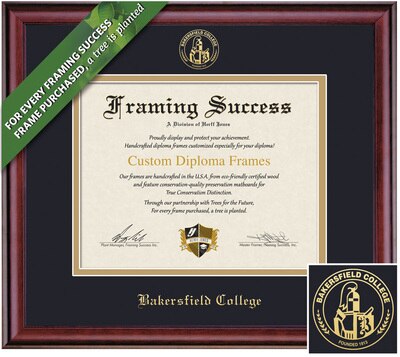 Framing Success 8 x 10 Classic Gold Embossed Seal Associates, Bachelors Diploma Frame