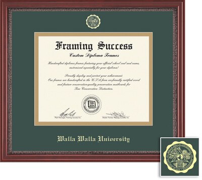 Framing Success 6 x 8 Grandeur Gold Embossed School Seal Bachelors, Masters Diploma Frame