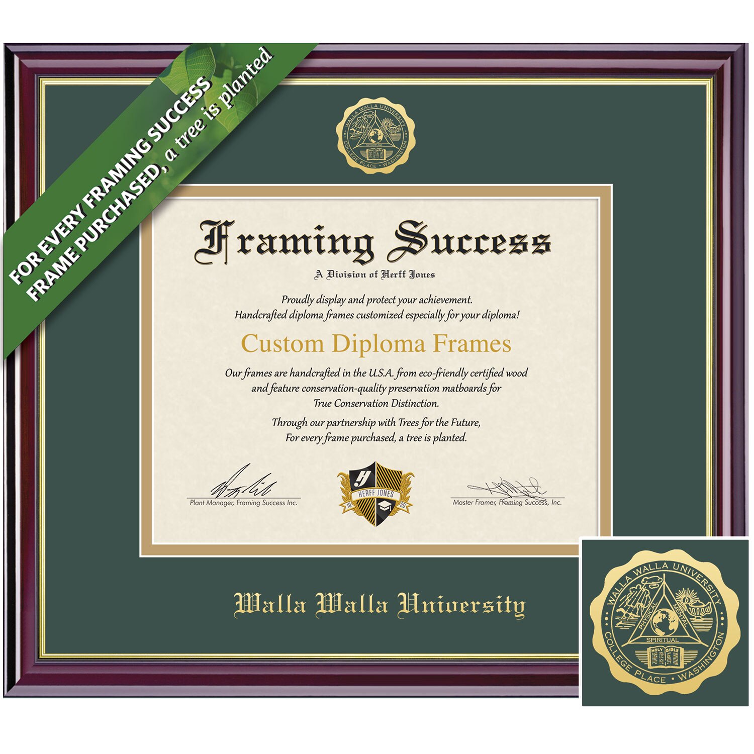 Framing Success 6 x 8 Windsor Gold Embossed School Seal Bachelors, Masters Diploma Frame
