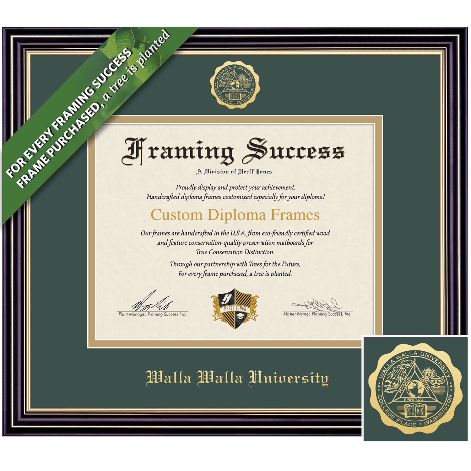 Framing Success 6 x 8 Prestige Gold Embossed School Seal Bachelors, Masters Diploma Frame